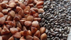 Produkty z największą ilością białka czyli gdzie w pożywieniu i dlaczego szukać białka ?
